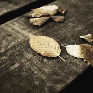 男女日逼吃奶视频
