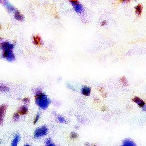 男女日逼吃奶视频
